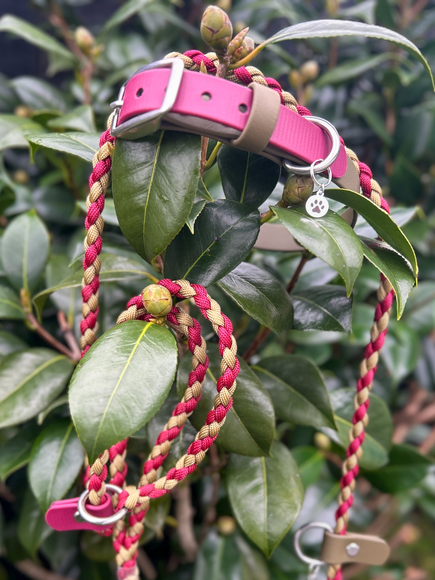 Double Trouble Collar