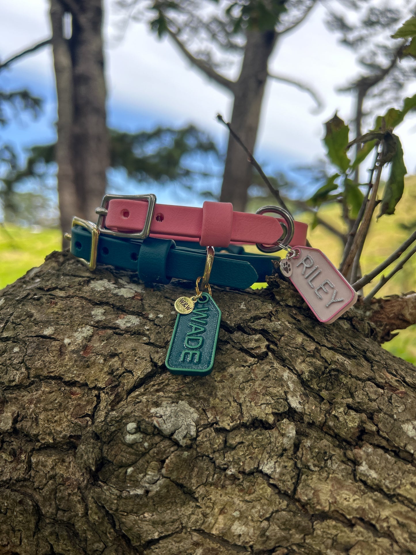 1/2" BioThane Collar