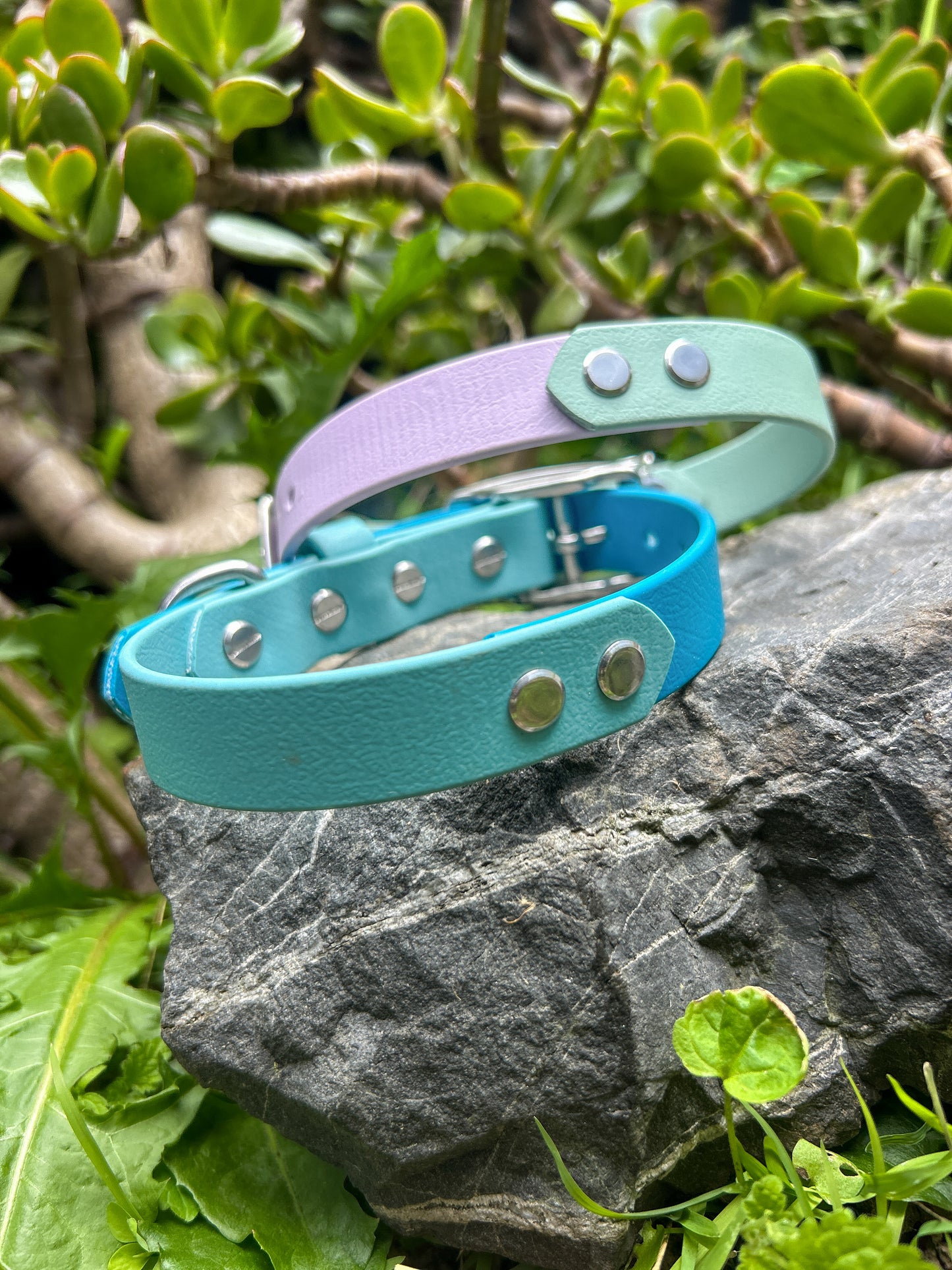 Double Trouble Collar