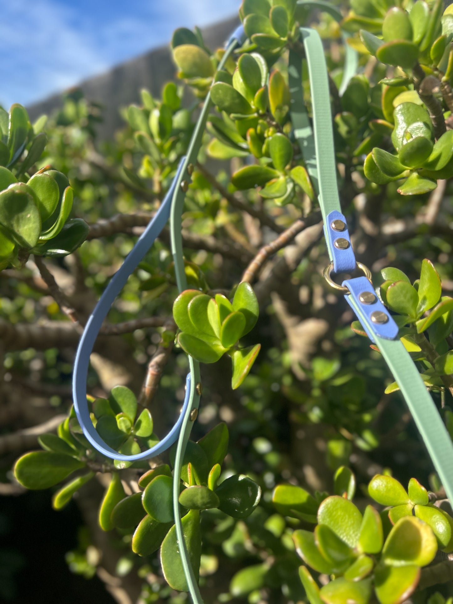 BioThane Lead
