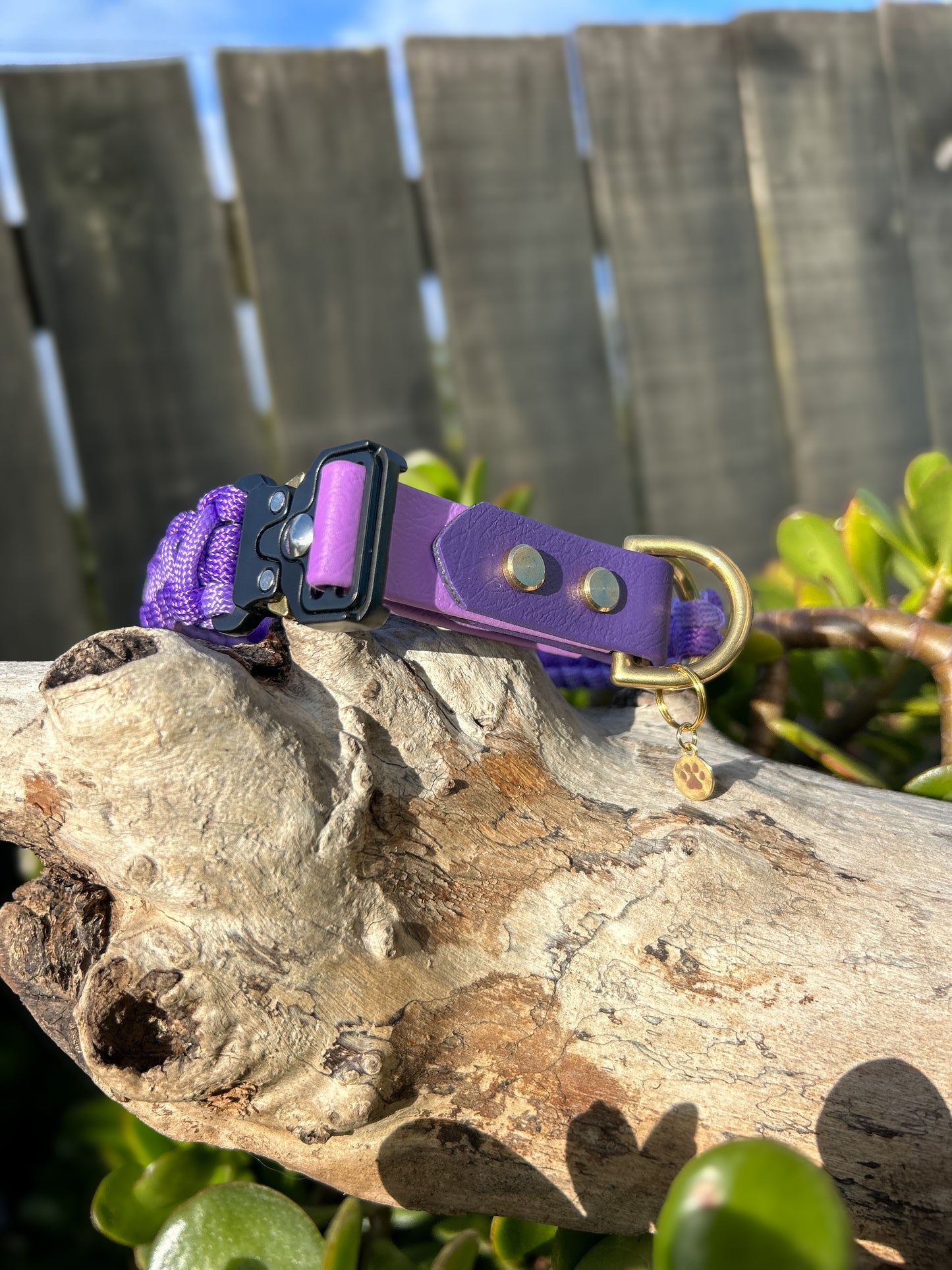 The Grow With Me Collar