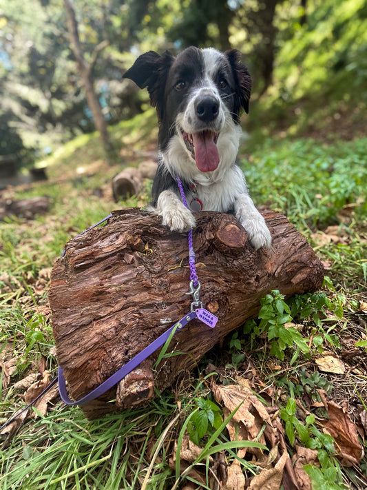 Precision Slip & Long Line Set