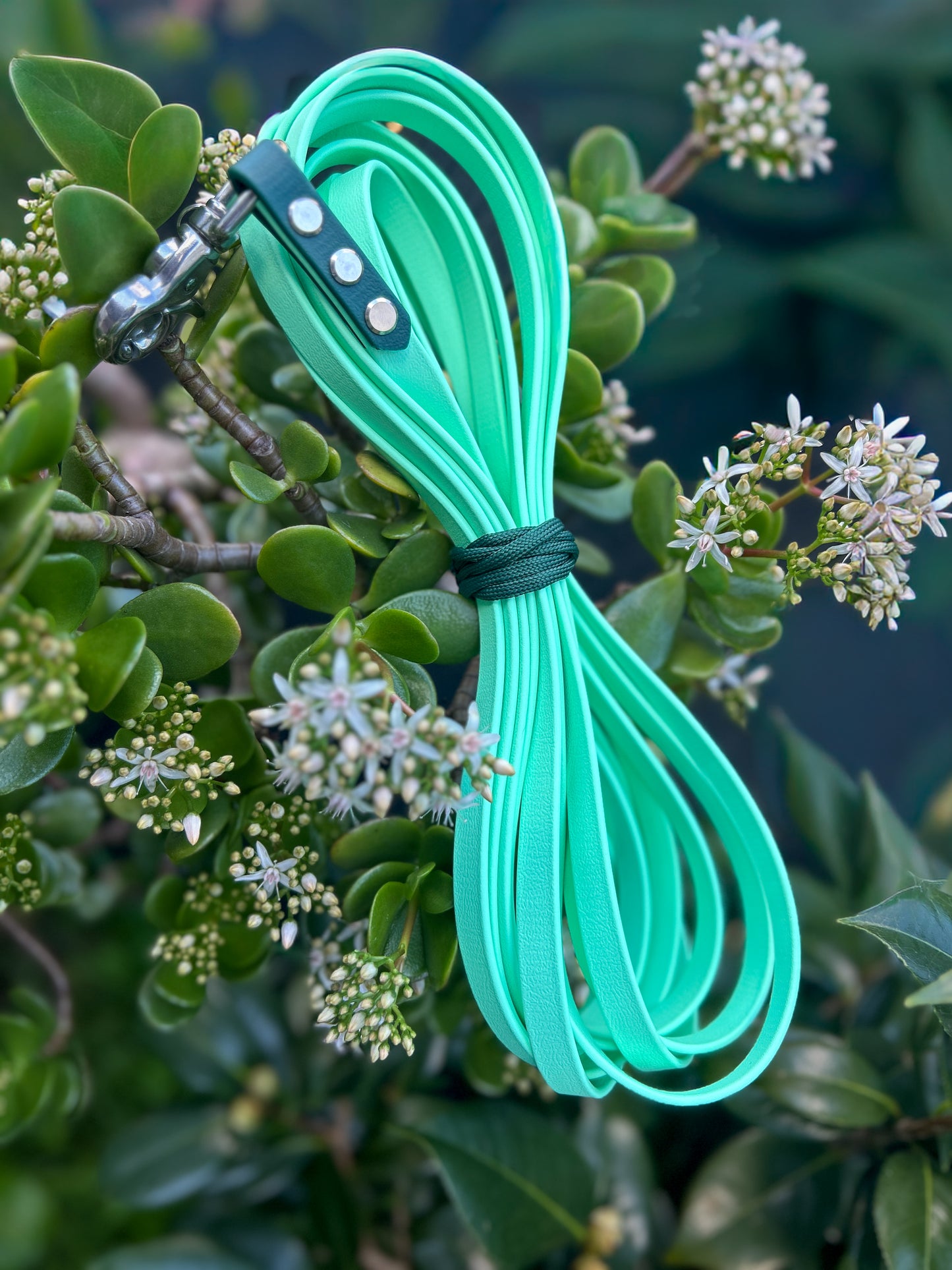 BioThane Long Line