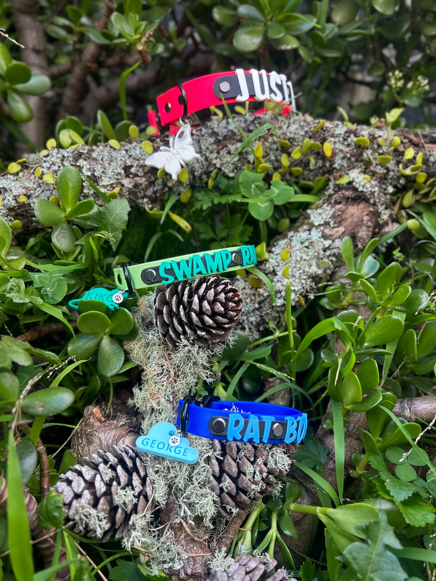 Aura Collar 1"