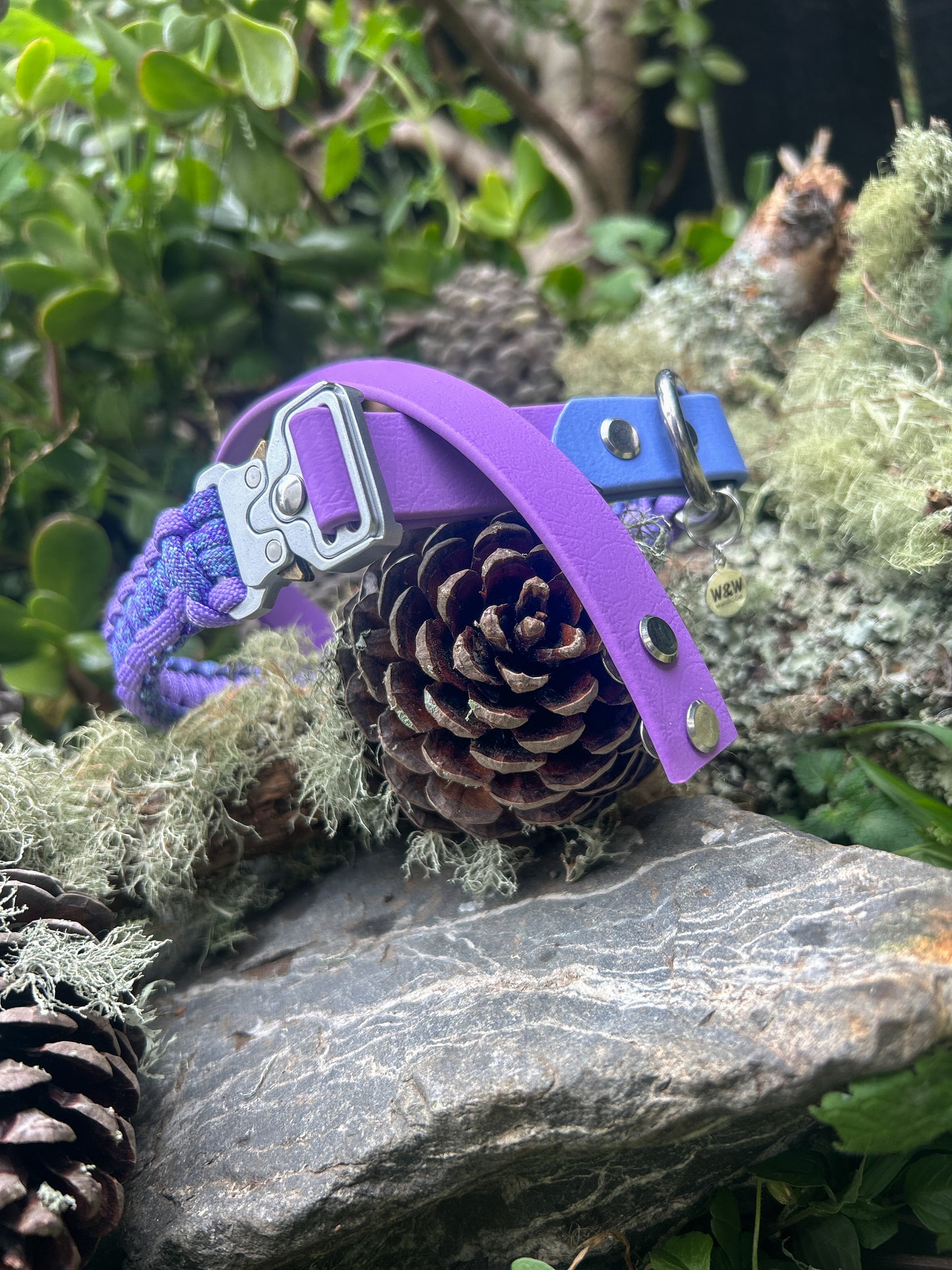 The Grow With Me Collar