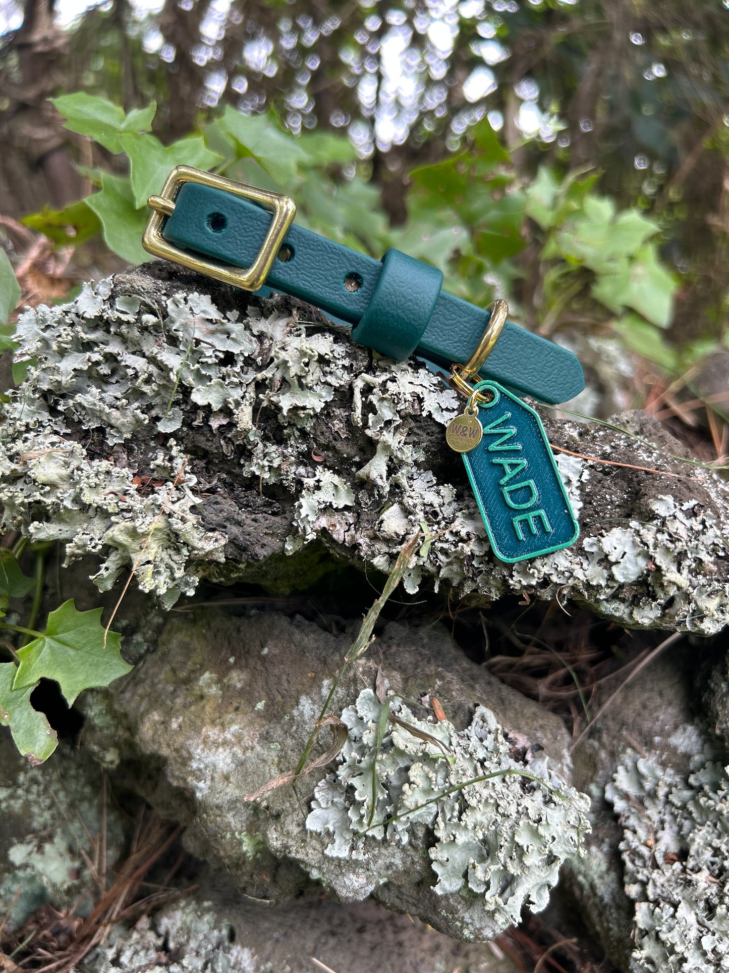 1/2" BioThane Collar