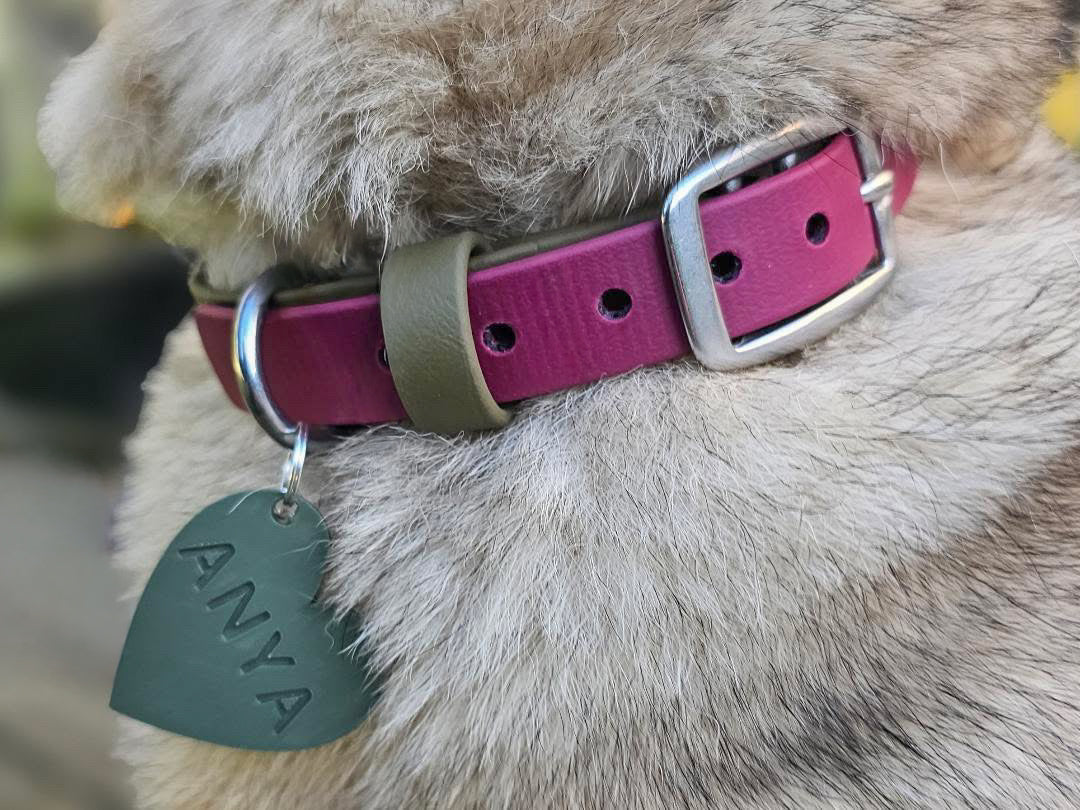 Wander Tags | Custom 3D Printed Pet Tags
