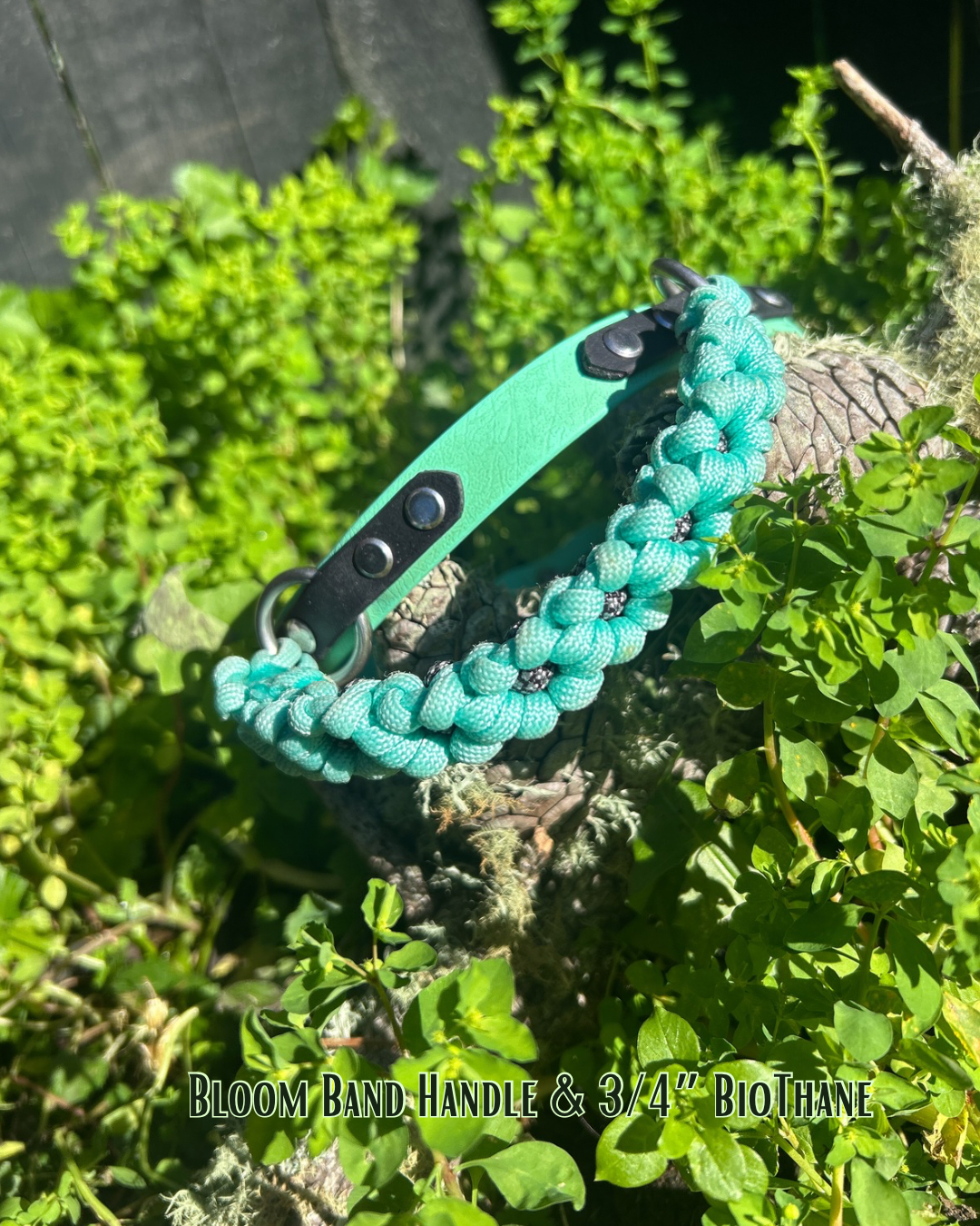 The Bloom Band 3/4"