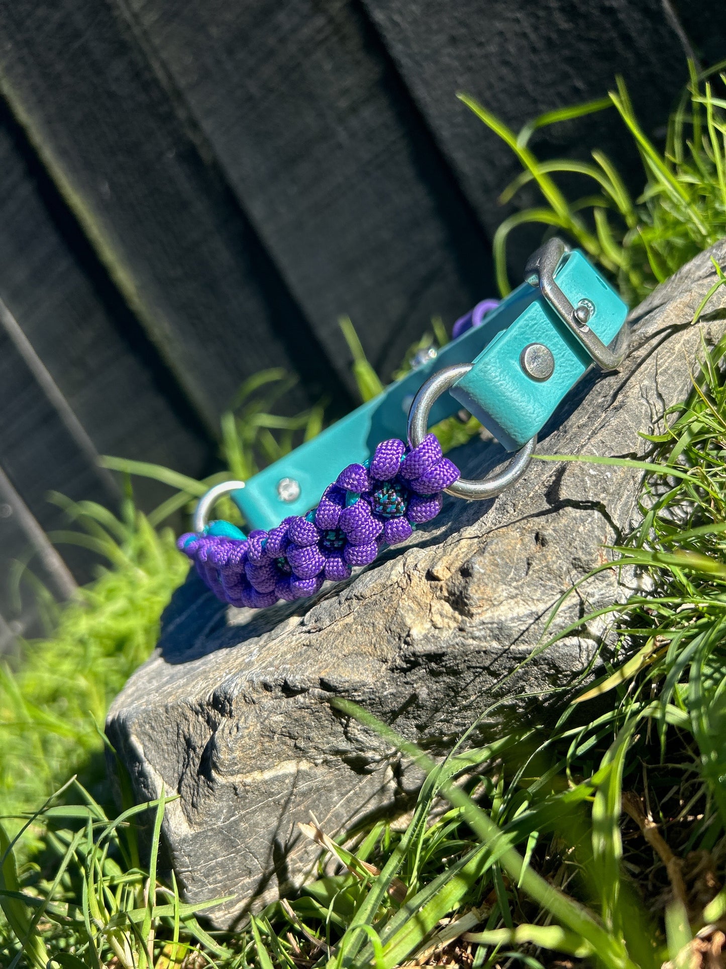 The Hybrid Bloom