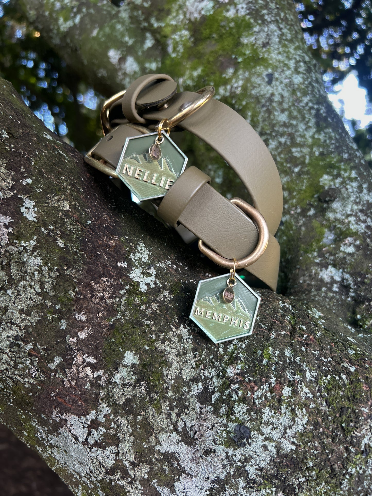 Wander Tags | Summit