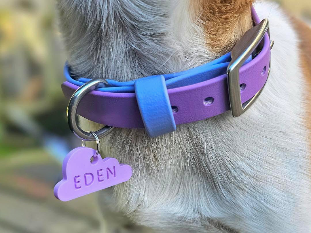 Wander Tags | Custom 3D Printed Pet Tags