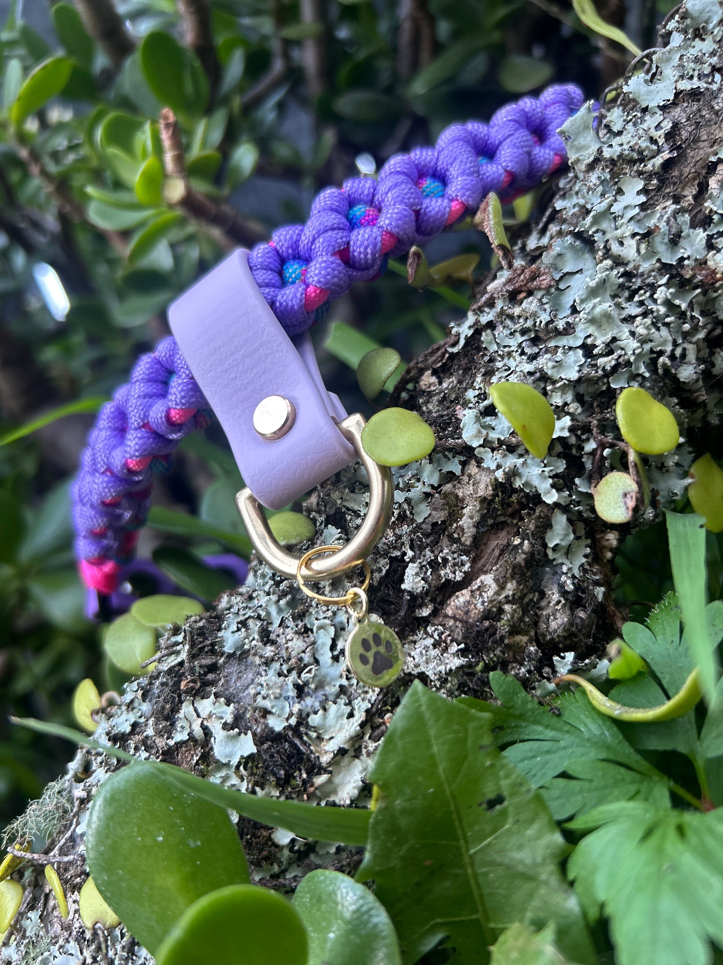 Pet ID Tag