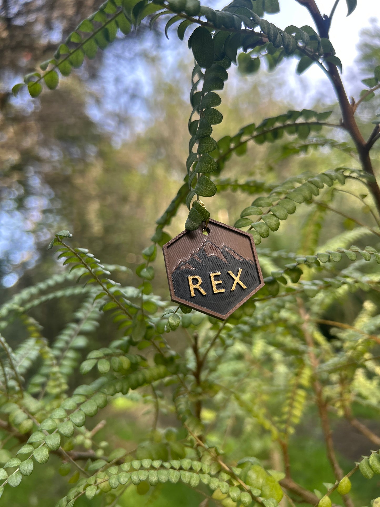 Wander Tags | Summit