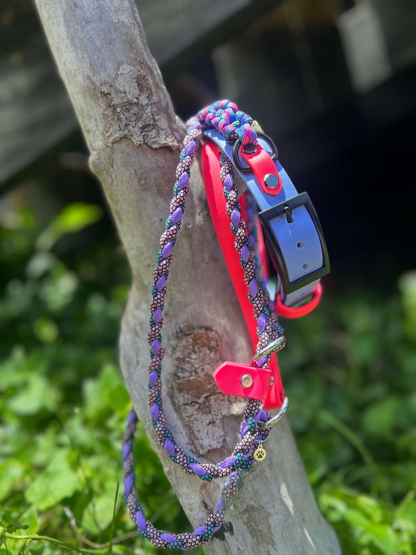 The Bloom Band 1"