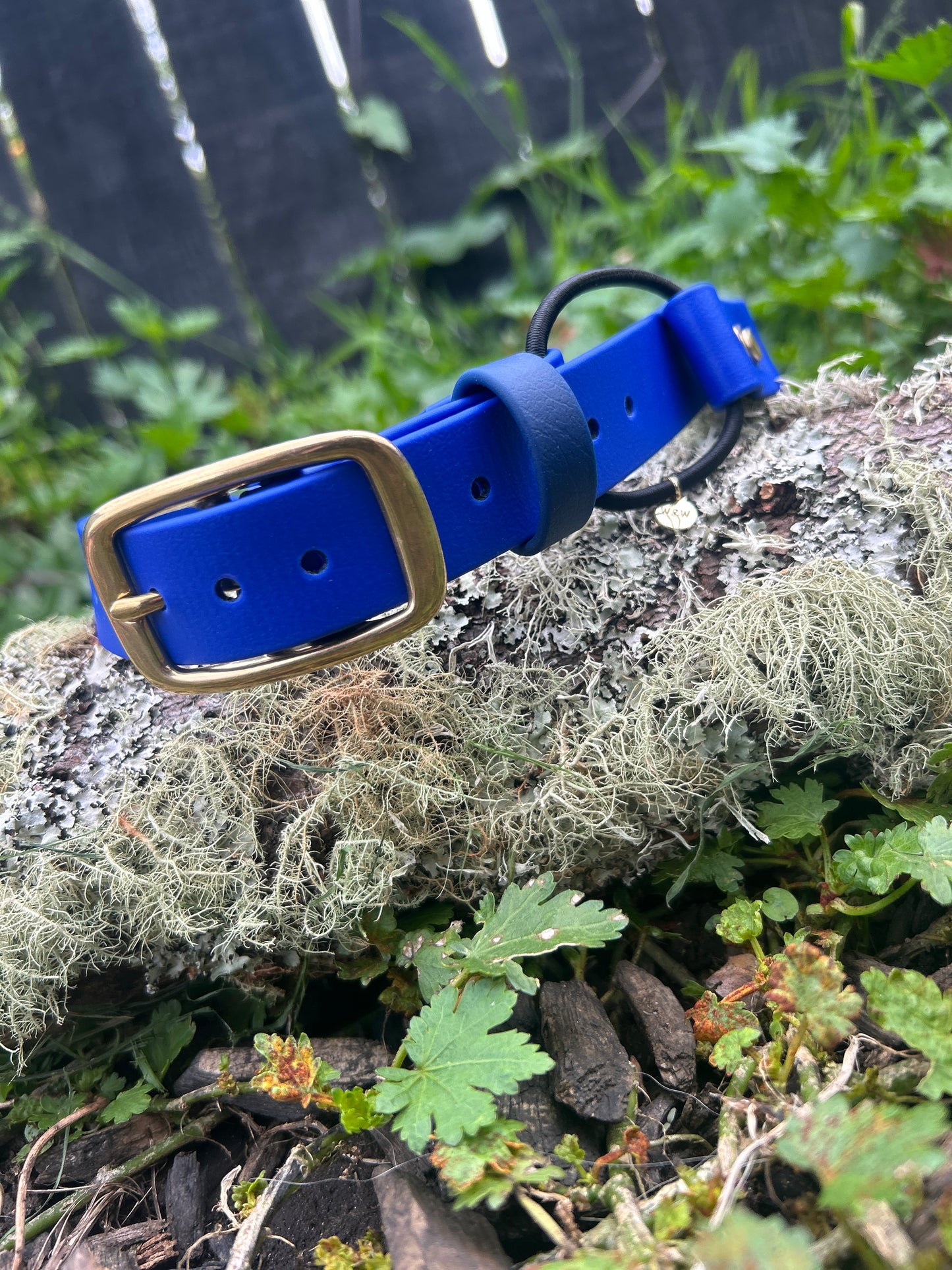 Quick Release E-Collar Bungee 1"