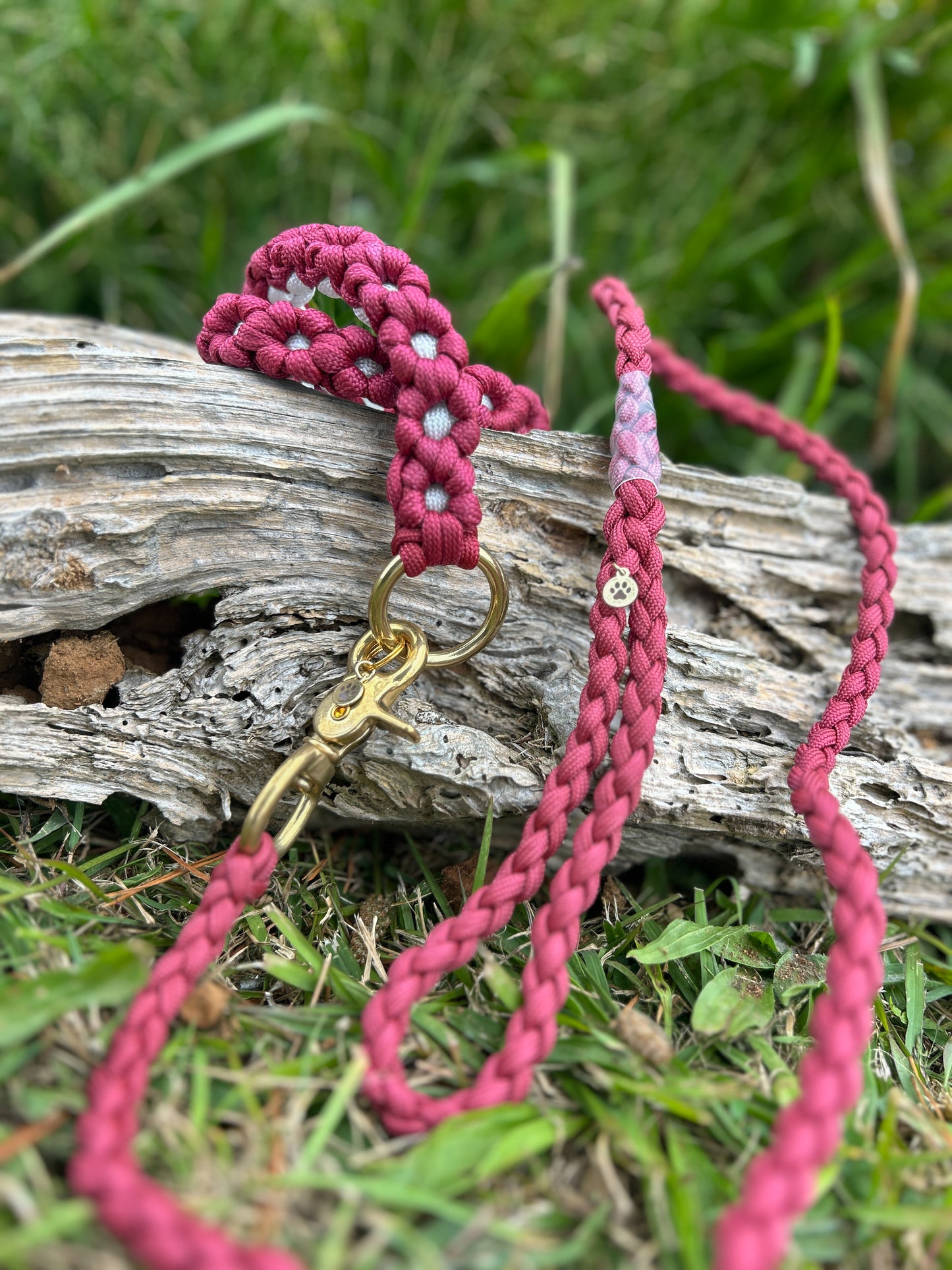 The Daisy Chain