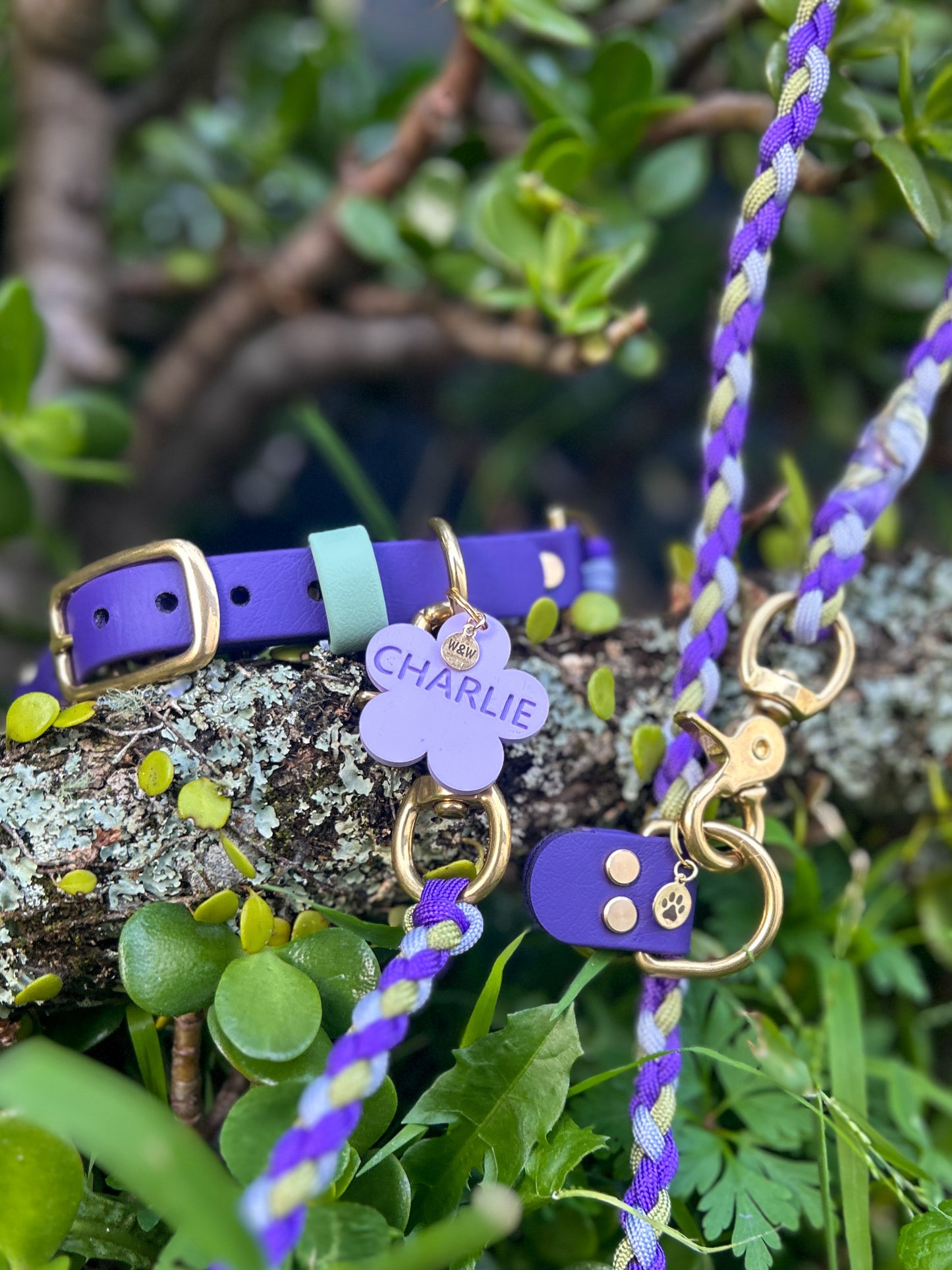 Wander Tags | Custom 3D Printed Pet Tags