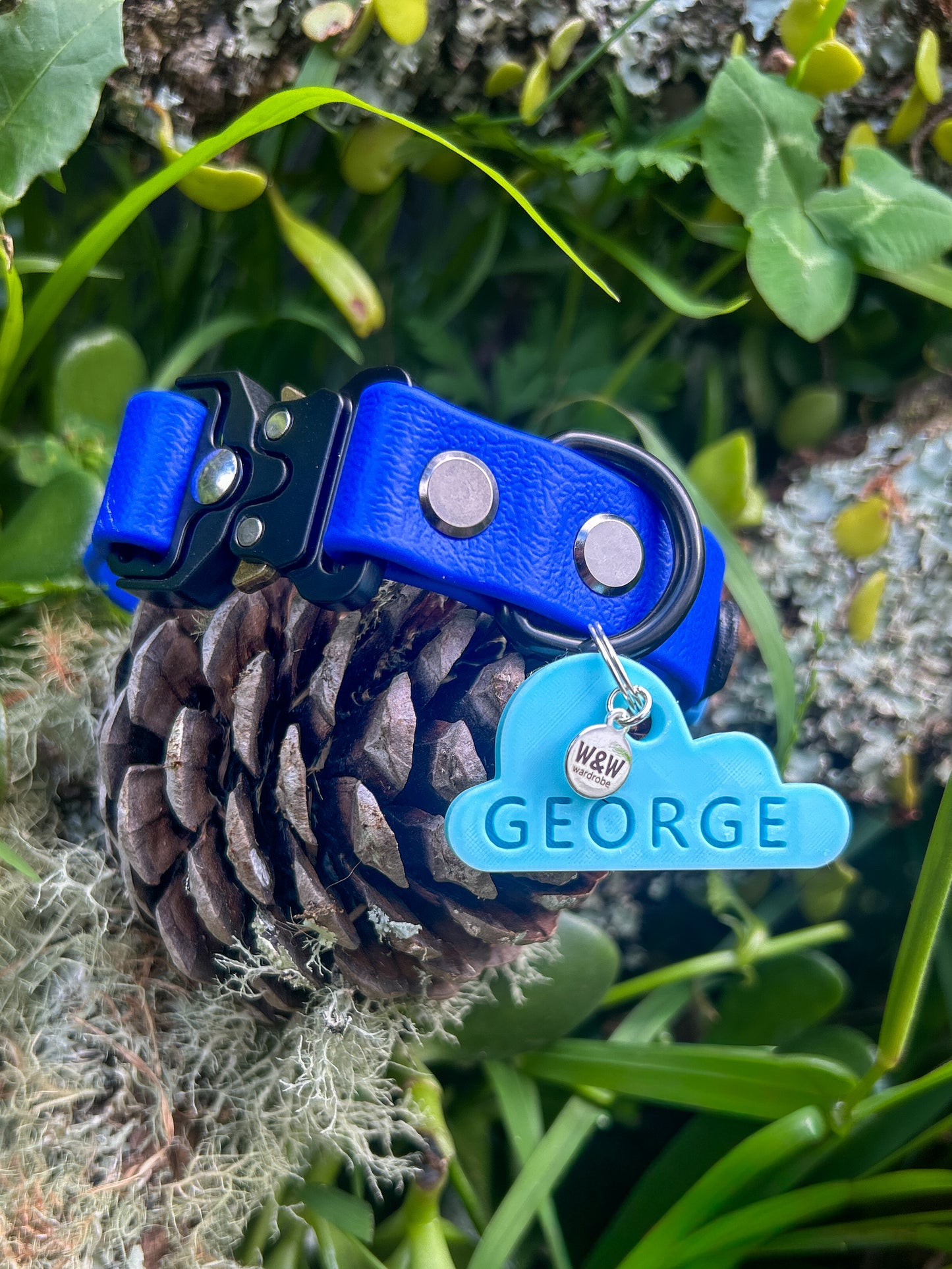 Wander Tags | Custom 3D Printed Pet Tags