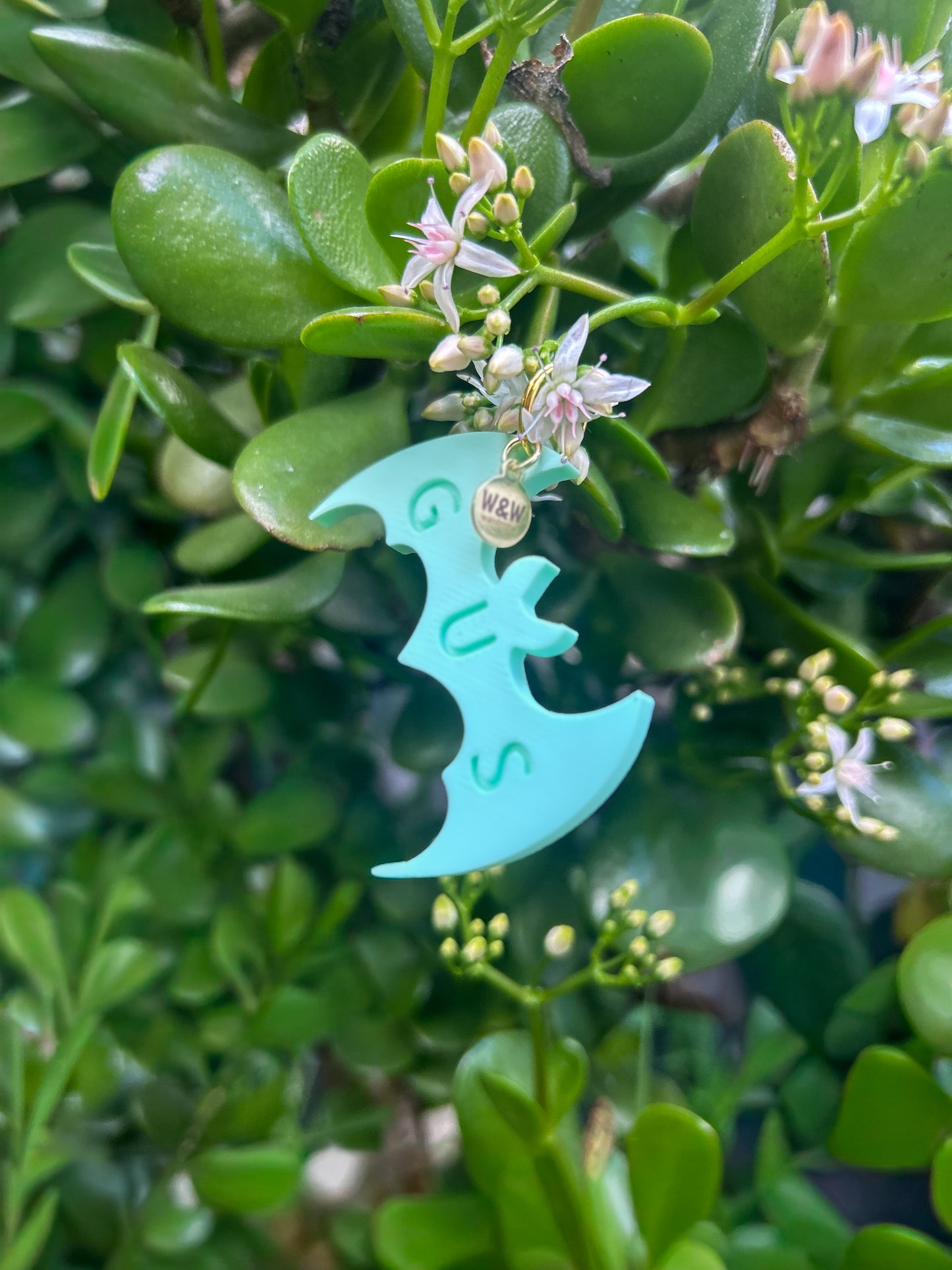 Wander Tags | Custom 3D Printed Pet Tags