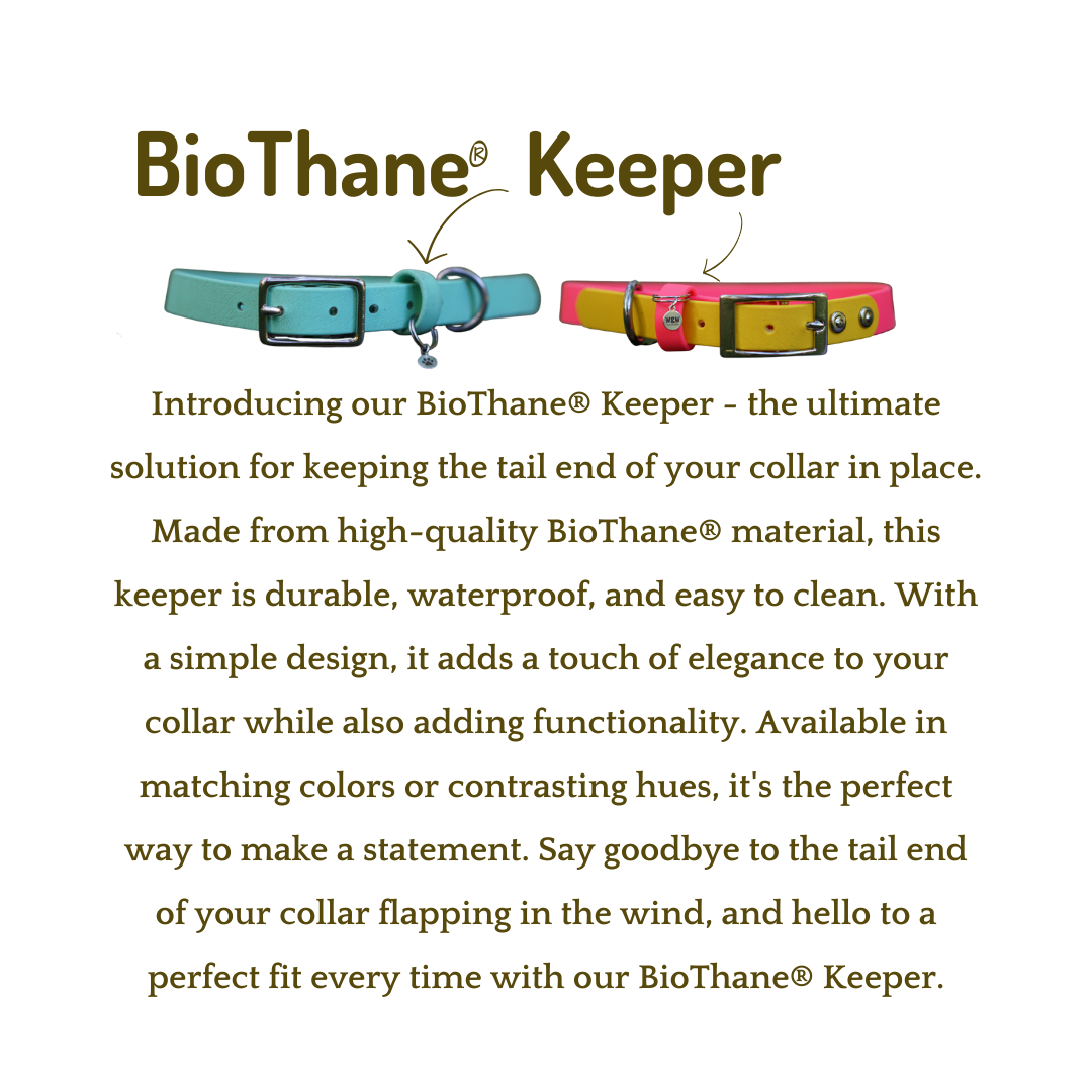 S'Punk BioThane 3/4" Collar