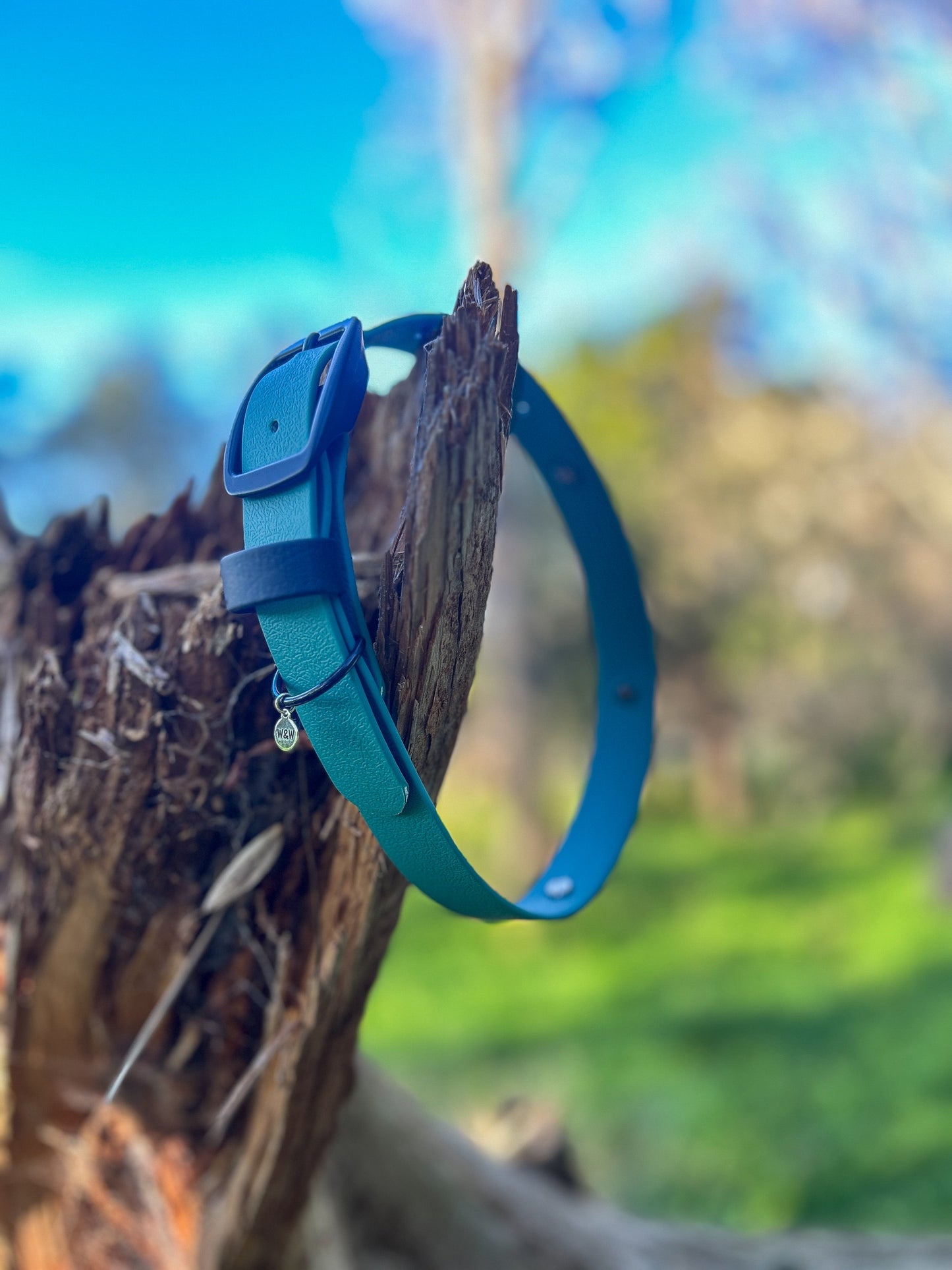 BioThane Collar with Tactical Handle