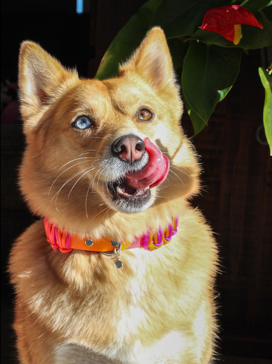 Trekker 3/4" Collar
