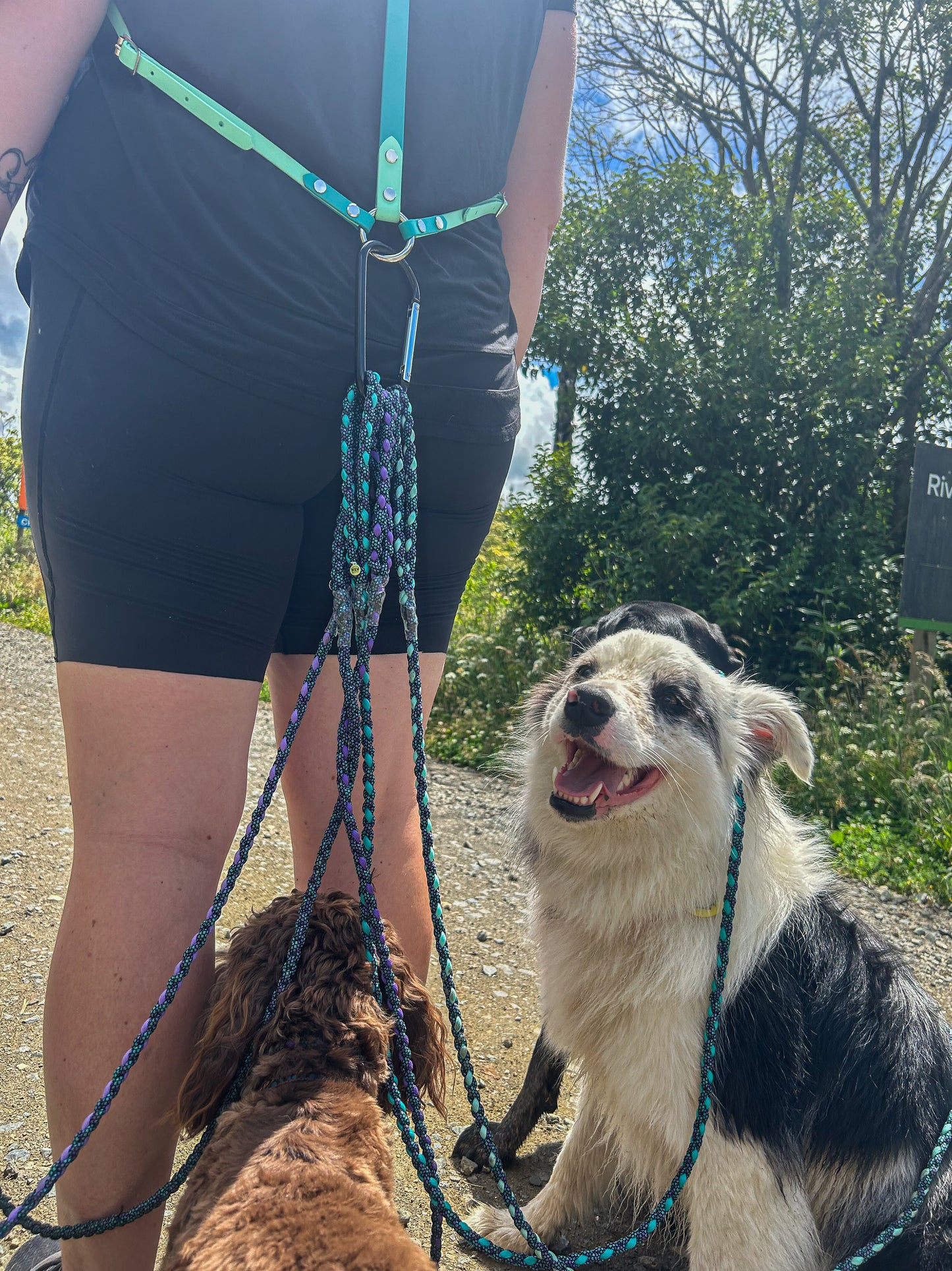 Pack Harness