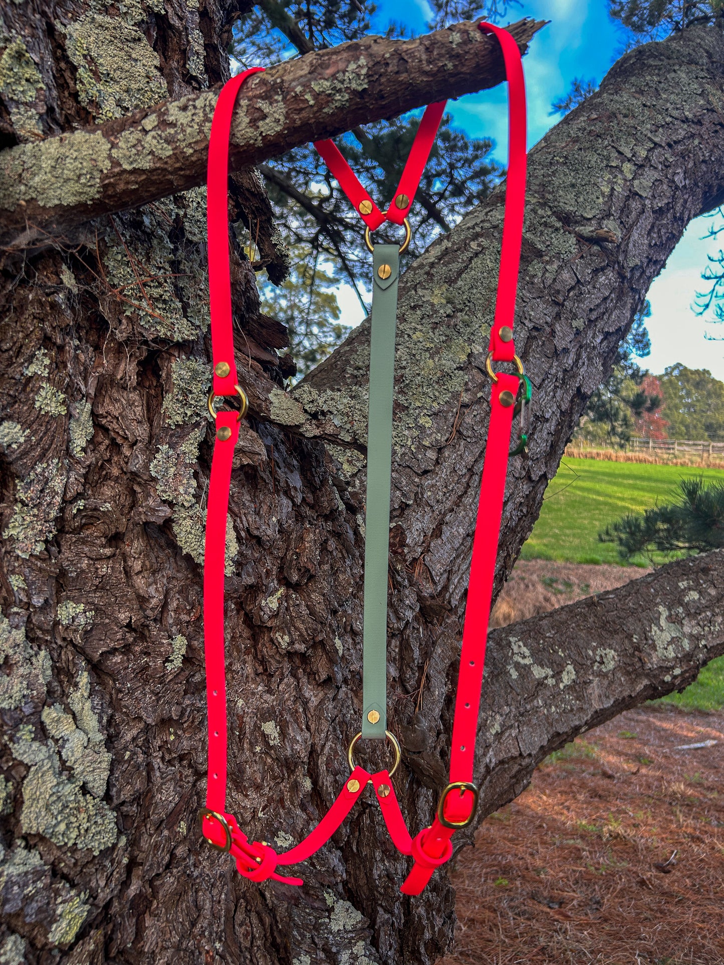 Simplistic Pack Harness