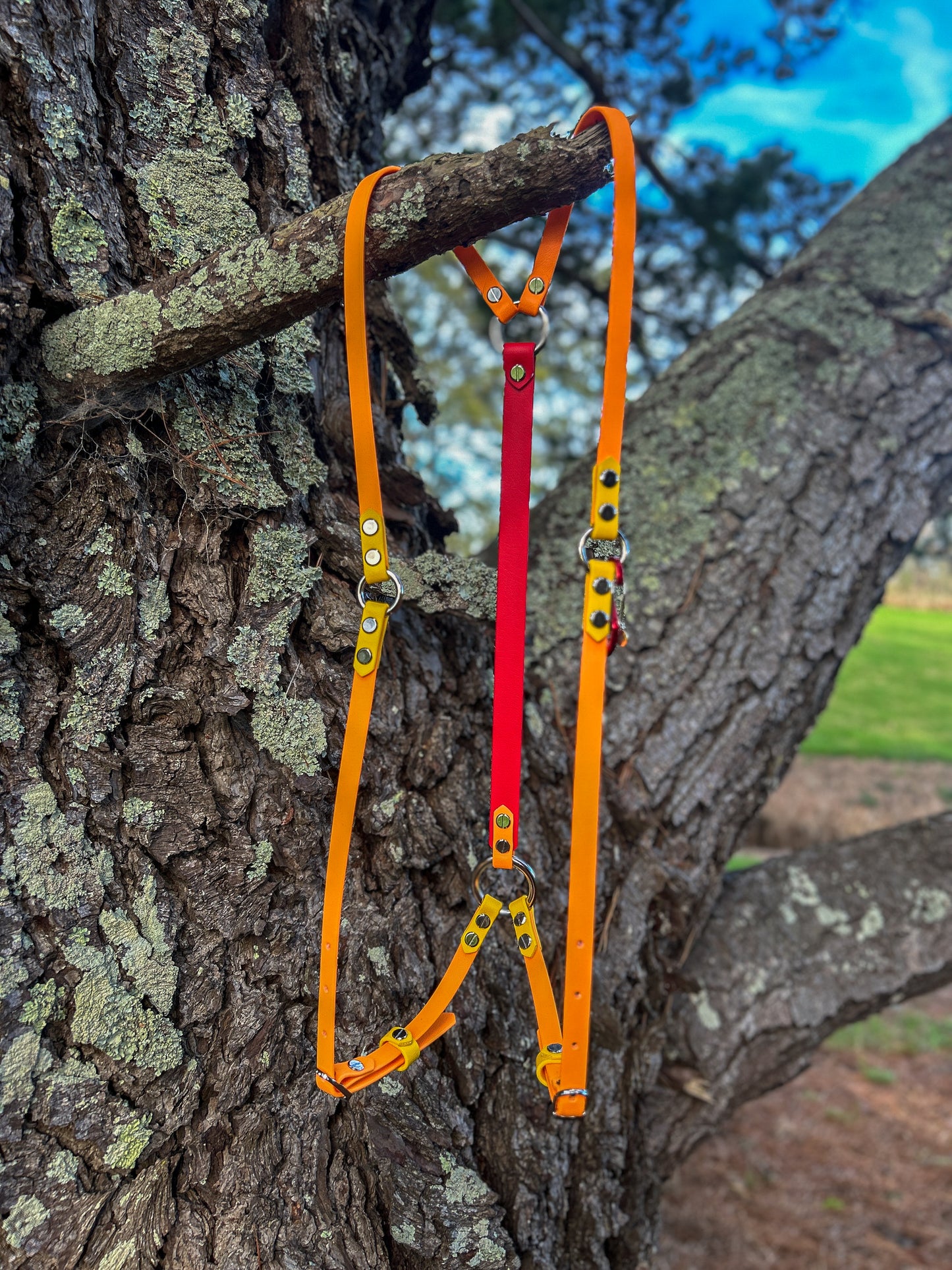 Pack Harness
