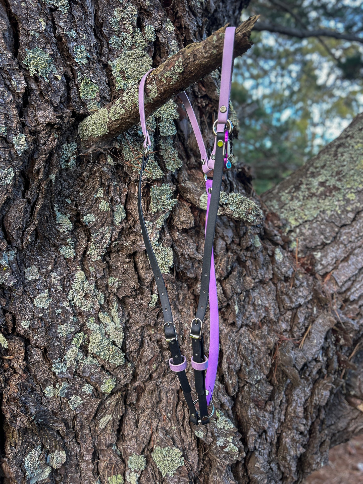 Simplistic Pack Harness