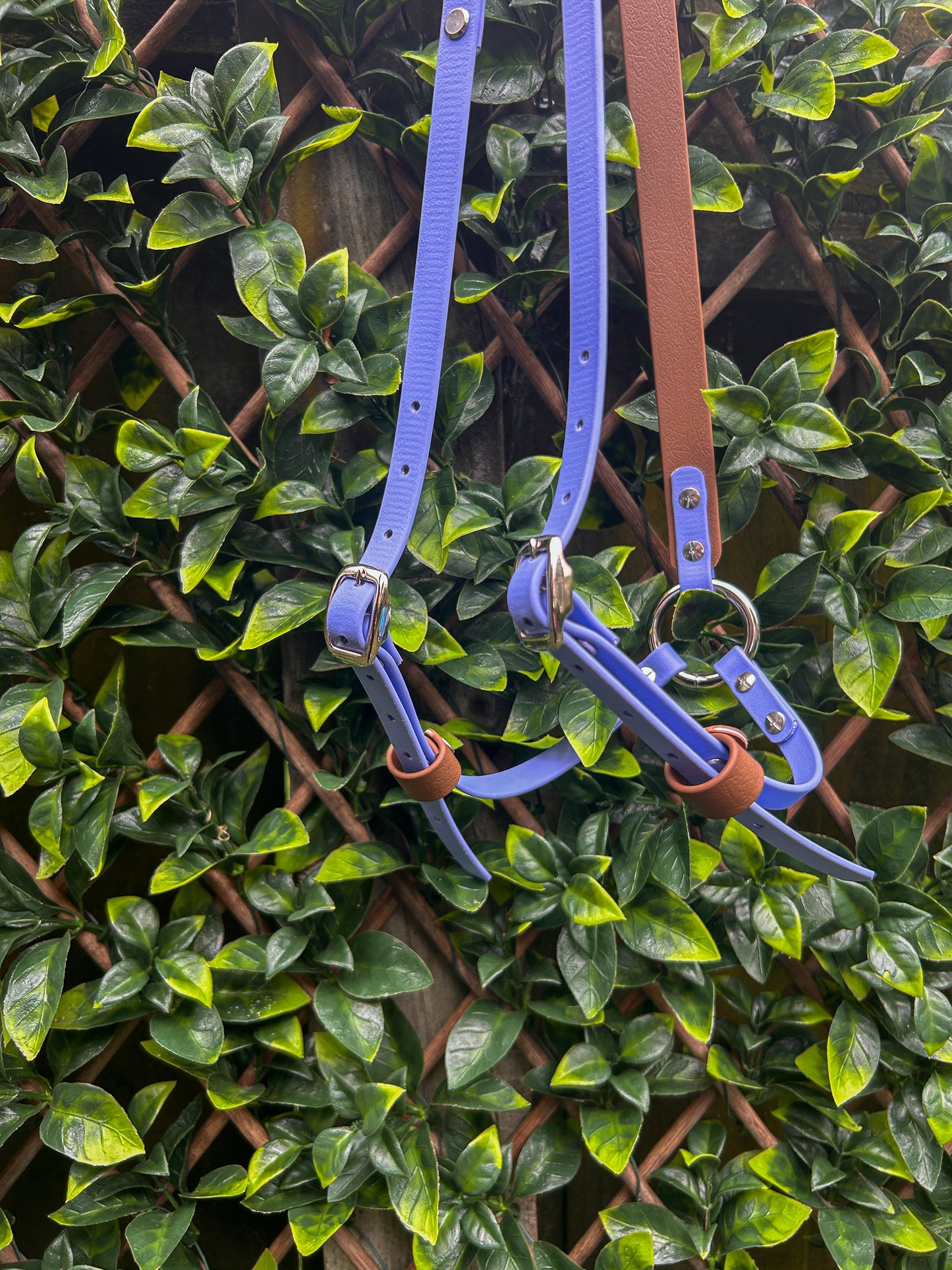 Pack Harness