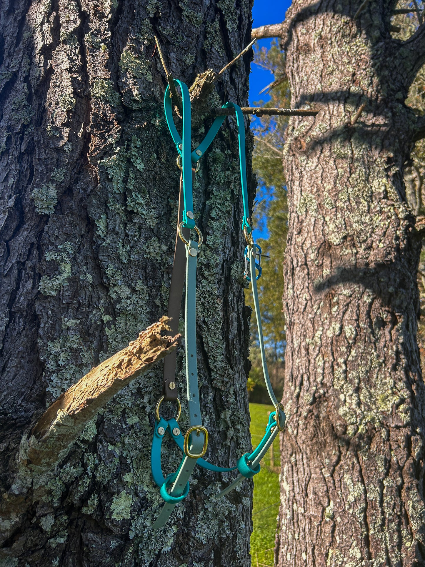 Simplistic Pack Harness