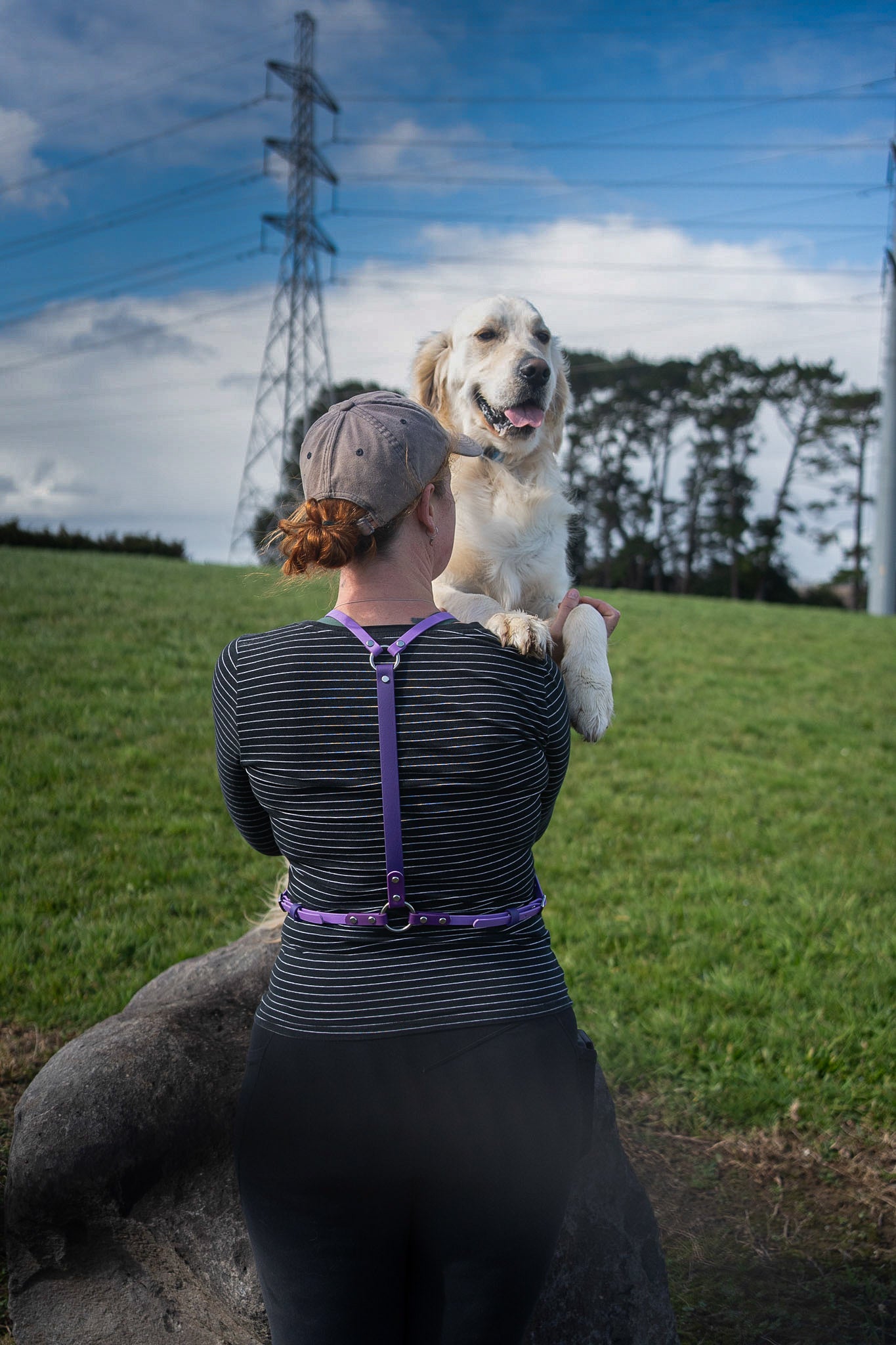 Pack Harness
