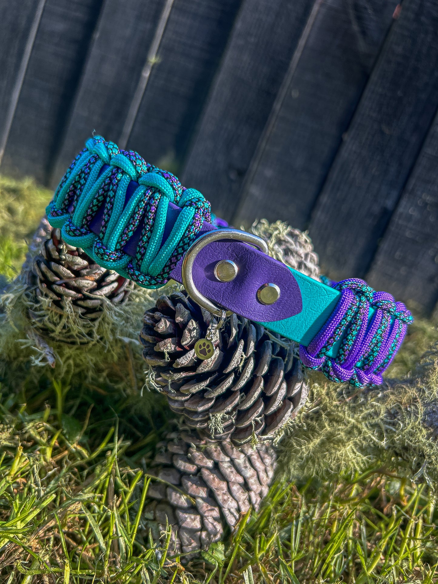 Trekker 1" Collar
