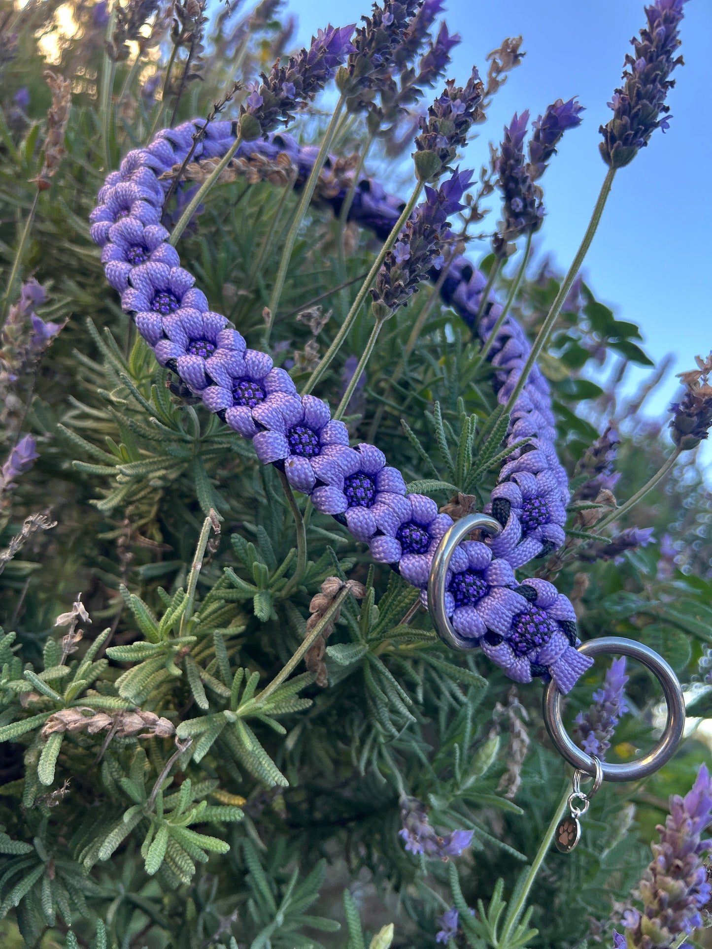 The Daisy Chain