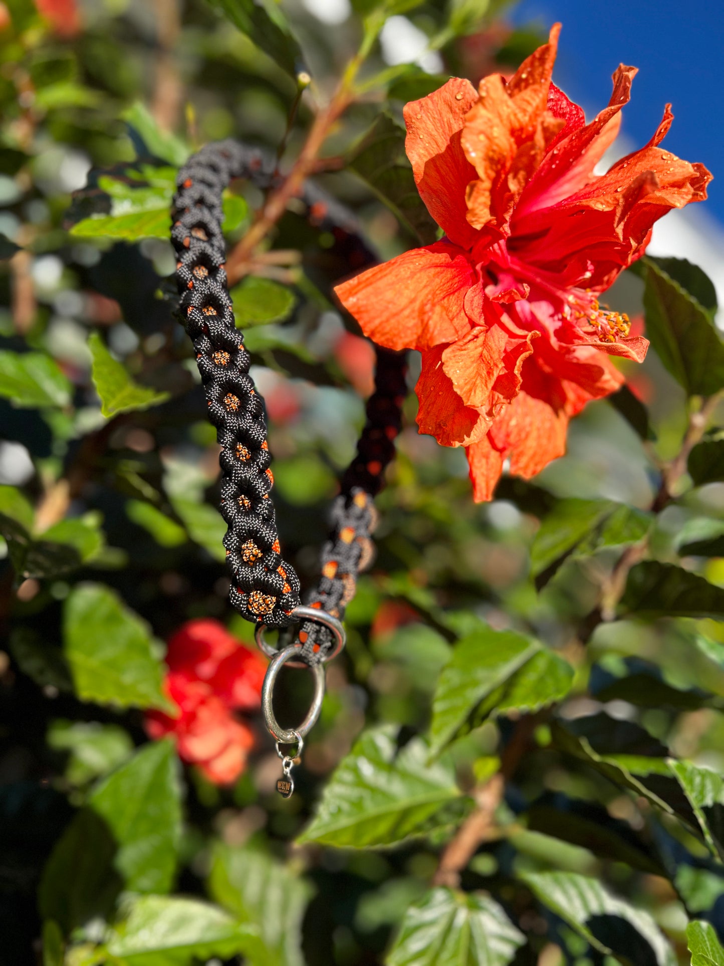 The Daisy Chain