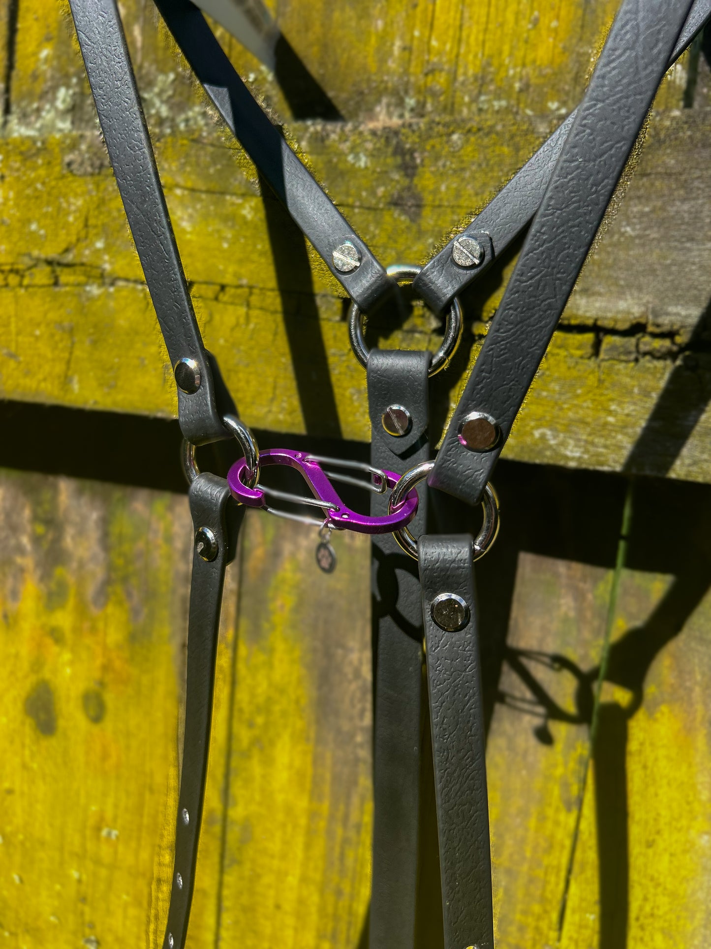 Simplistic Pack Harness